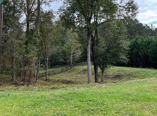 1001 Butterfly Cove Way, Locust Grove, GA 30248