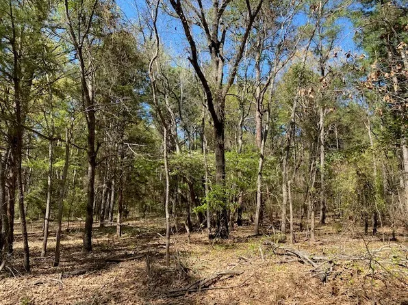 Lots 30 34 Armadillo Dr, Murchison, TX 75778