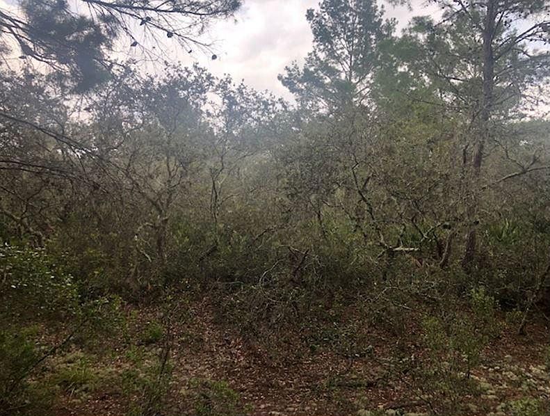 2nd image of 0 Alturas Babson Park Cutoff Road