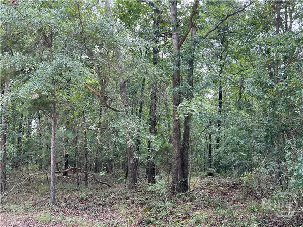 Tract #3 Lake Deerfield Rd, Hull, GA 30646