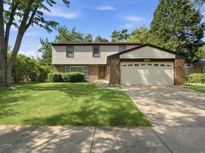 802 E Hackberry Dr, Arlington Heights, IL, 60004