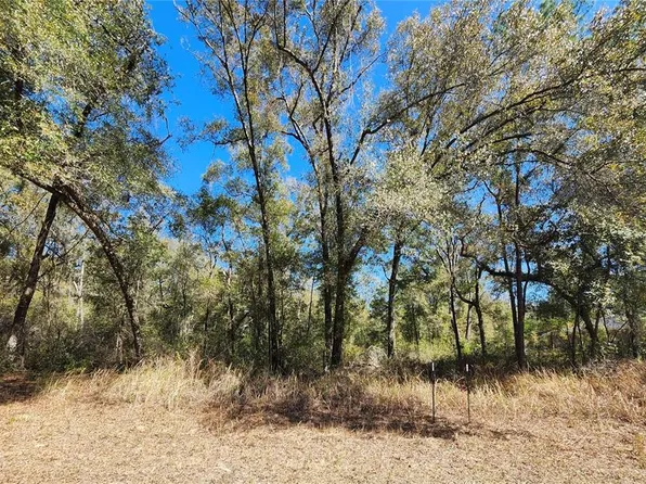 8585 N Alameda Dr #2, Dunnellon, FL 34434