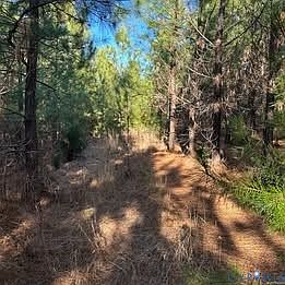 5th image of 1 Secretarys Sand Rd #2