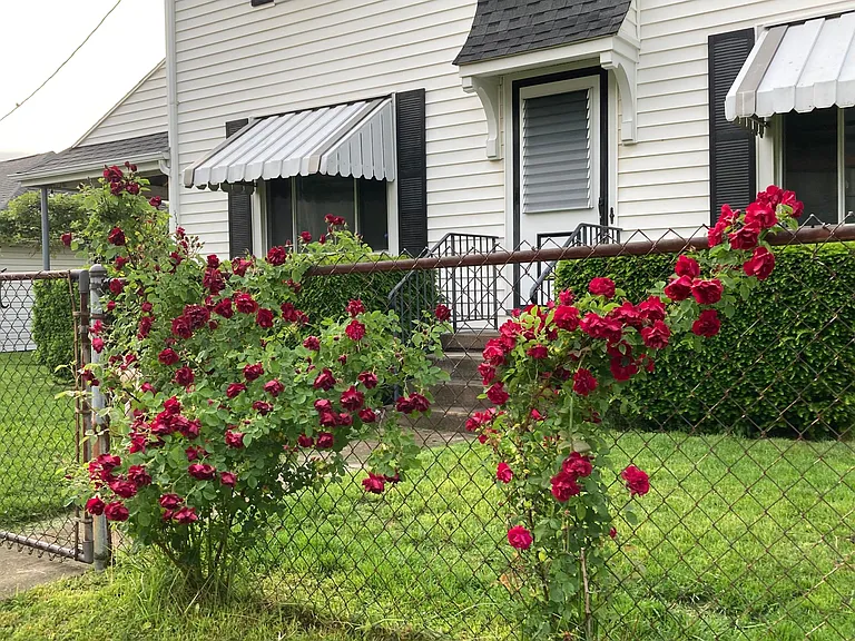 743 Creighton Ave — Photo 13