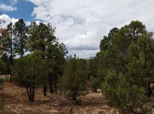 2226 Country Club Dr, Overgaard, AZ 85933