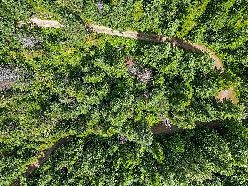 1st image of Deer Ln