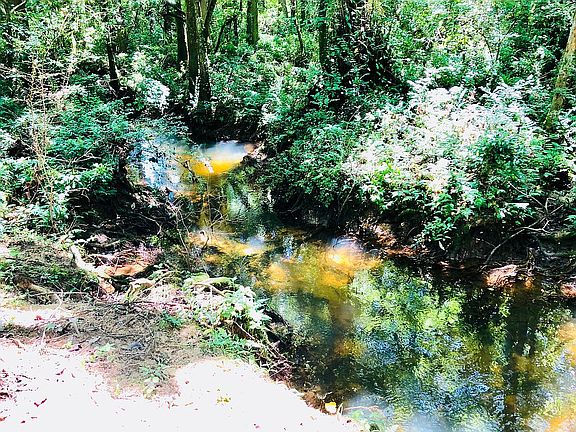 Creek