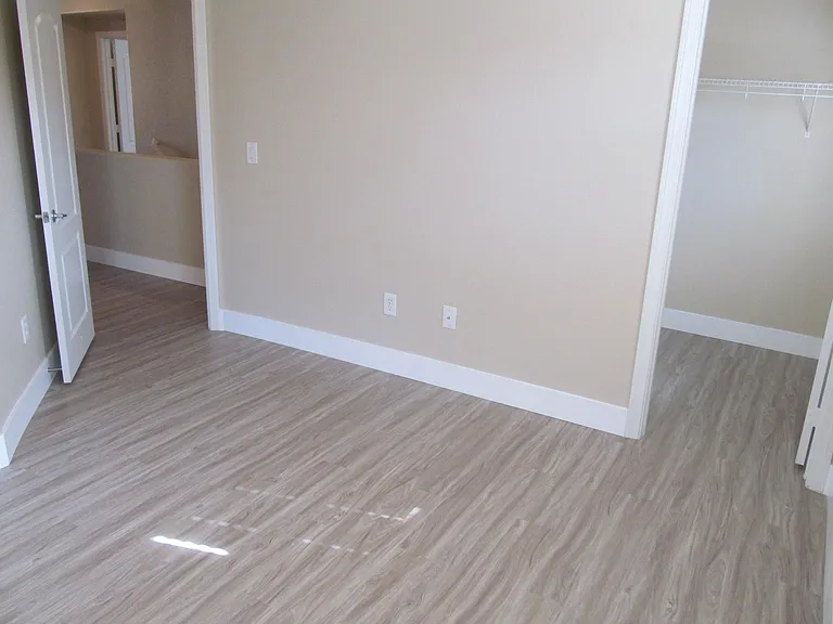 3336 Popcorn Flower St — Photo 27