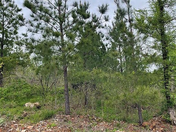 5th image of 21 Charmed Ridge Lane