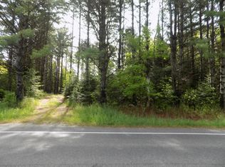 W Cedar Lake Rd, Greenbush, MI 48738