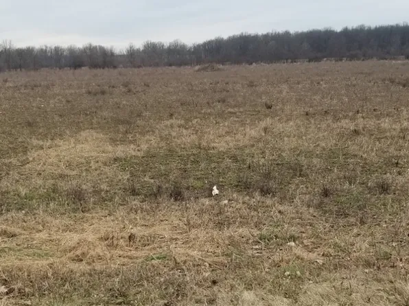 1556 North Rd #5, Scottsville, NY 14546