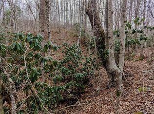 Mountain Springs Rd, Mars Hill, NC 28754