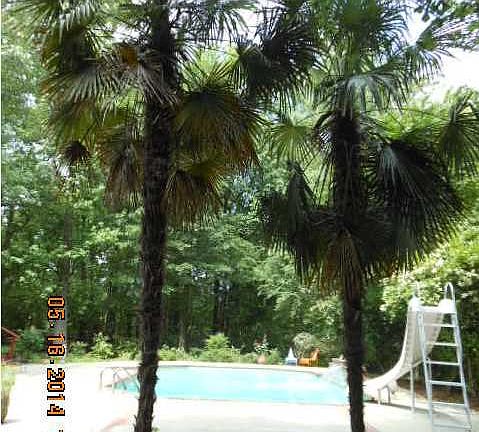 5th image of 220 Devereaux Ct
