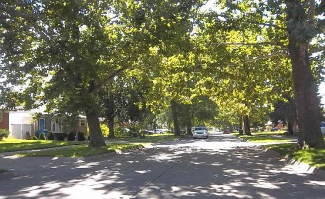 2nd image of 29644 Edward Dr