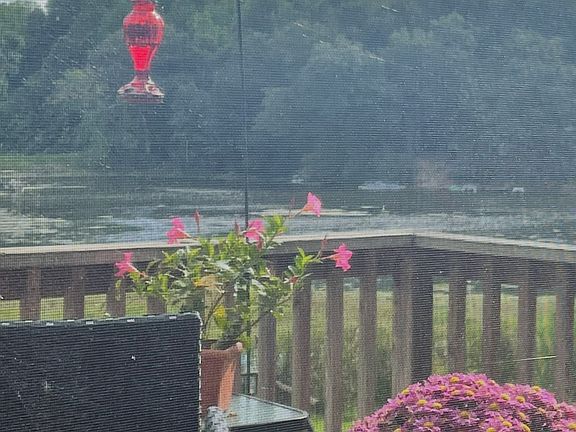 2nd image of 5158 Orange Grove Rd
