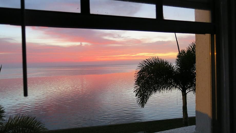 Window living room