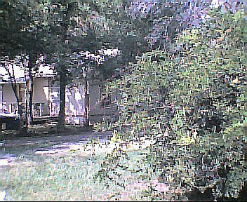 1st image of 1002 Branch St