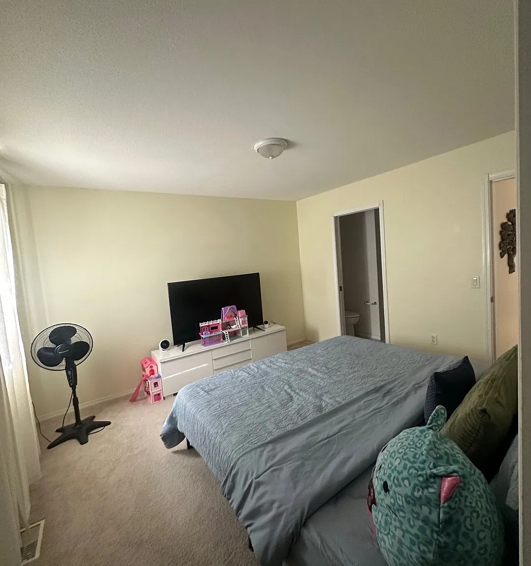 3 bed, 1.5 bath, 1235 sqft, $2,500 — Photo 4
