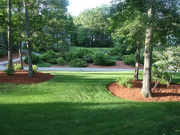 Front yard