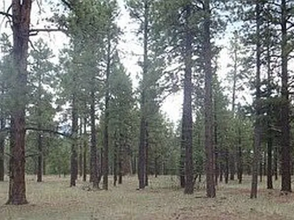 2545 W Blackhawk Ln, Flagstaff, AZ 86001