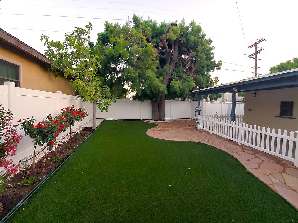 View from Back Windows