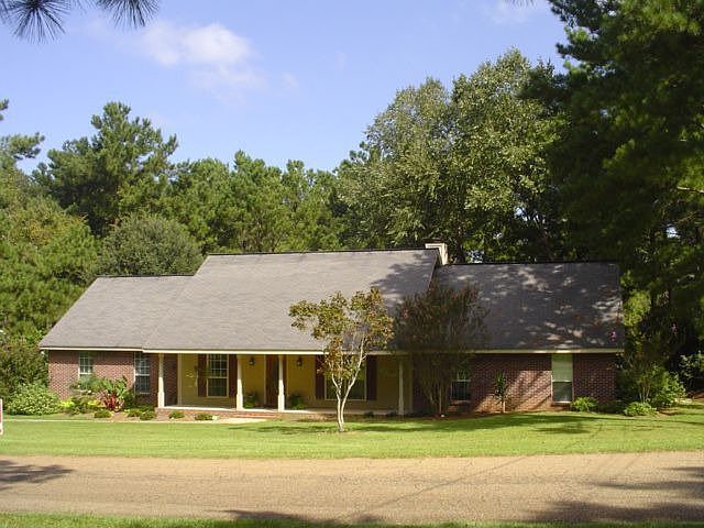Main View