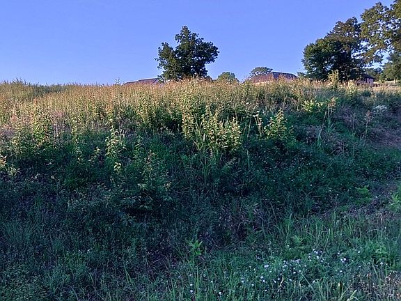 3rd image of 0 Collins Run Lot 51 & 52