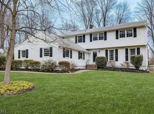 8 Black Birch Rd, Scotch Plains, NJ 07076
