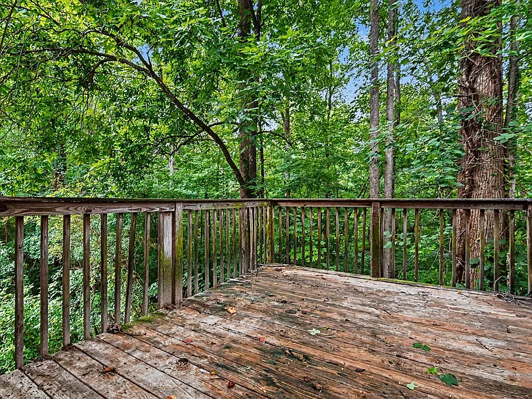 3892 Conley Downs Ln — Photo 15