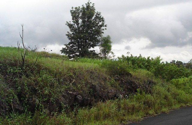 2nd image of Paradise Pkwy #[kwy-lot 11