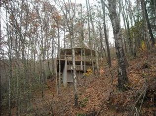 110 Bear Cove Holw, Bryson City, NC 28713