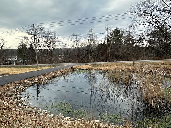 The pond in winter