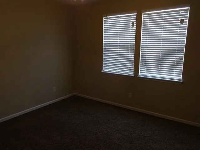 3901 Ringneck Dr — Photo 12