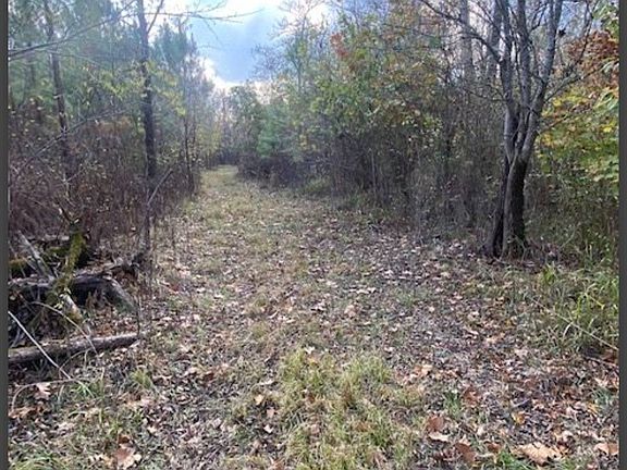 2nd image of 19 Hidden Pines Loop