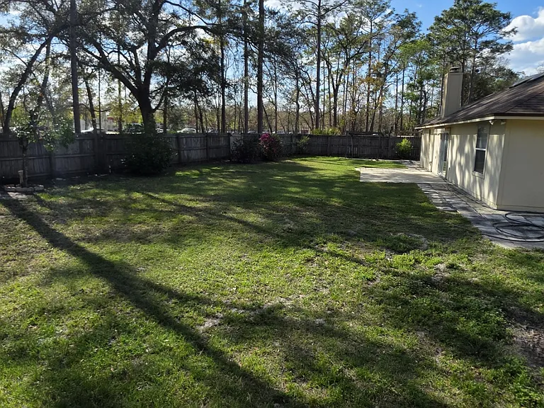 Back yard