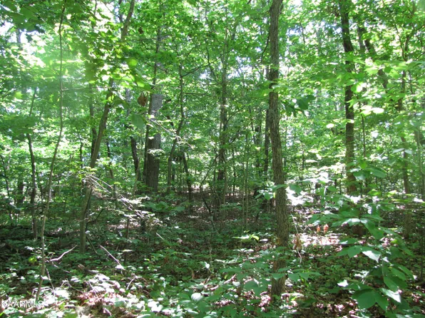 Adkins Rd, Philadelphia, TN 37846