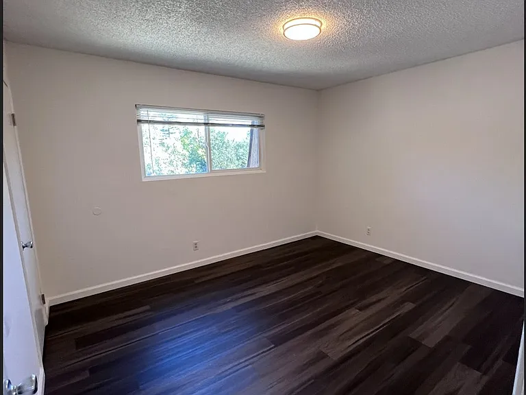 1155 Delphinium St #B — Photo 5