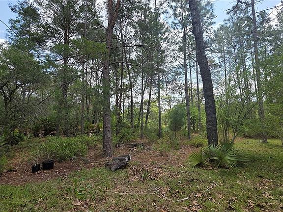 4th image of 5719 W STOCKHOLM LANE