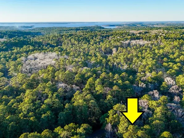 9 Victoria Dr, Brookeland, TX 75931