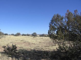 LOT 390 Chevelon Canyon Rnch LOT 390, Heber, AZ 85928