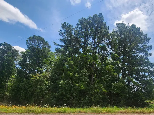 Fm 999, Gary, TX 75643