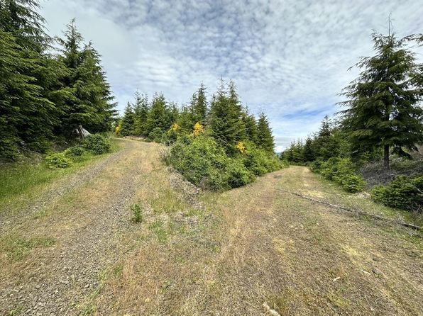 Vollmer Creek Mainline, Seaside, OR 97138