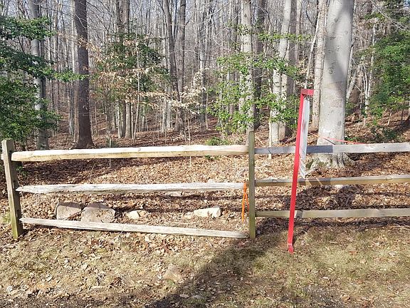 2nd image of 11812 Winterway Ln