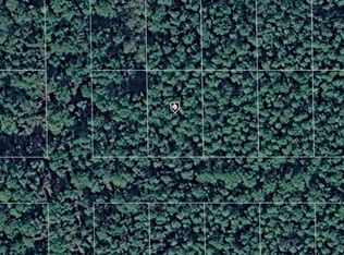 302 SIESTA DRIVE LOT 22, GEORGETOWN, FL 32139