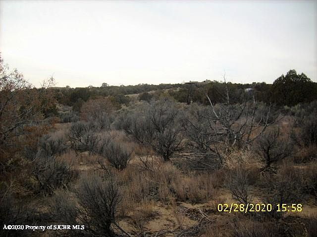 2nd image of 6116 Jack Rabbit Jct #B