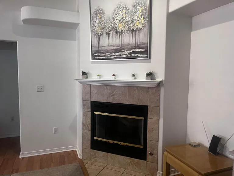 3530 Beach Haven Cove Dr — Photo 7