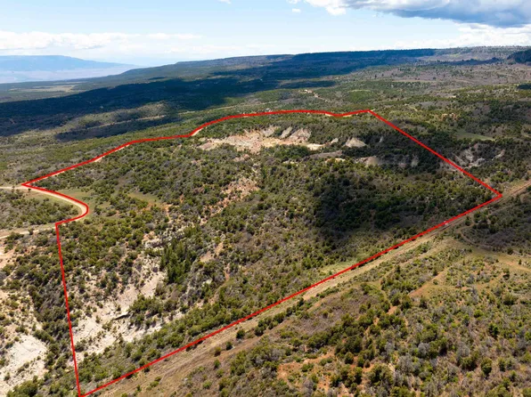 Lots 4 5 & 6 Elk Ranch Rd, Glade Park, CO 81523
