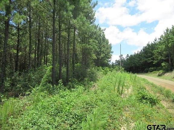 2nd image of LOT 55 County Road 1060