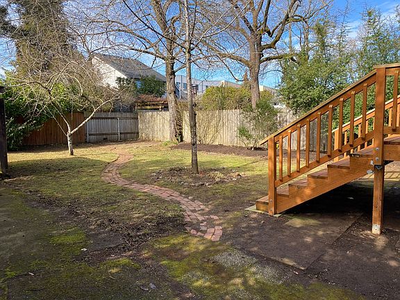 Back yard