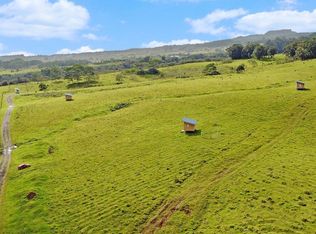 Kaiwiki Homestead Rd LOT 36-B, Hakalau, HI 96710